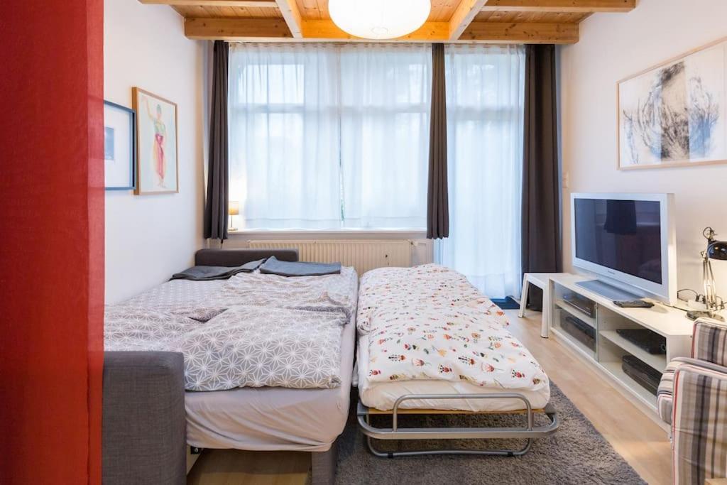 Apartment Wilhelmstr Fuer Bis Zu 3 Personen Brühl Eksteriør billede