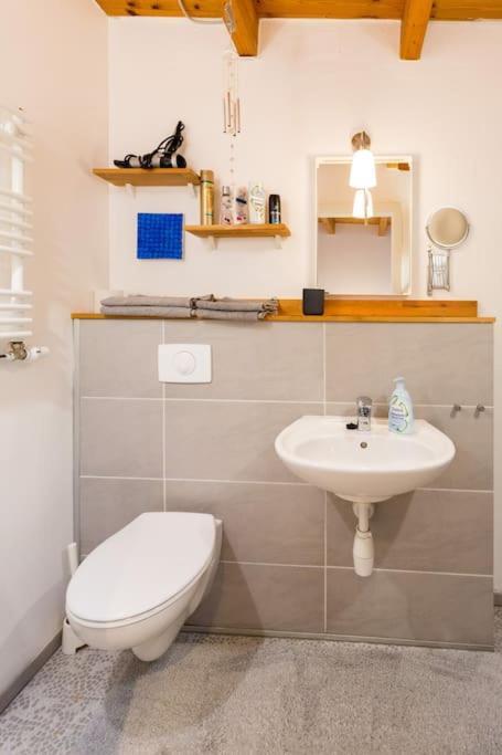 Apartment Wilhelmstr Fuer Bis Zu 3 Personen Brühl Eksteriør billede